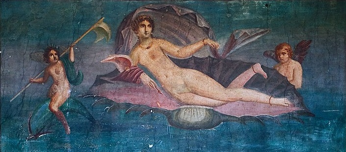 aphrodite-in-shell